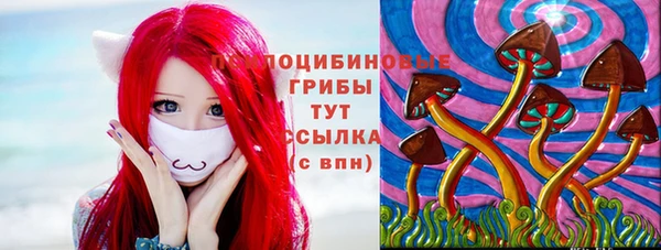 дурь Абаза